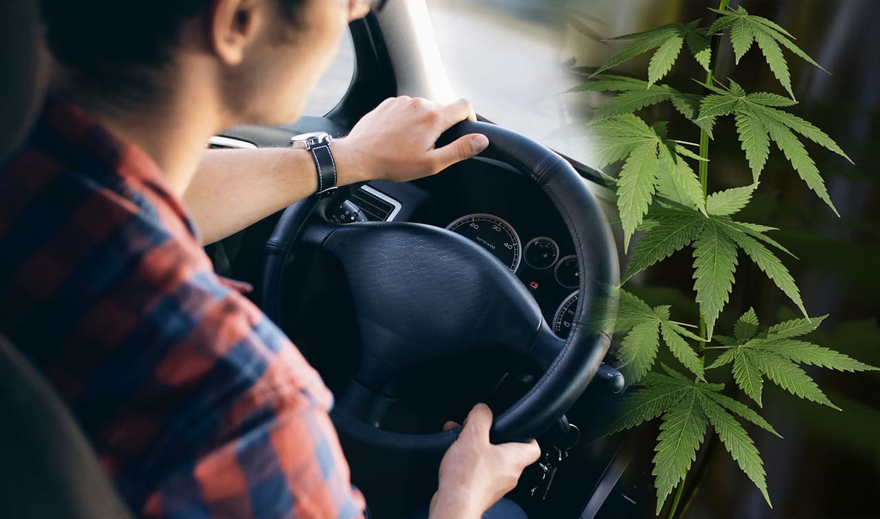 Cannabis Legalisierung & Autofahren: Neue Regeln für THC-Grenzwerte?